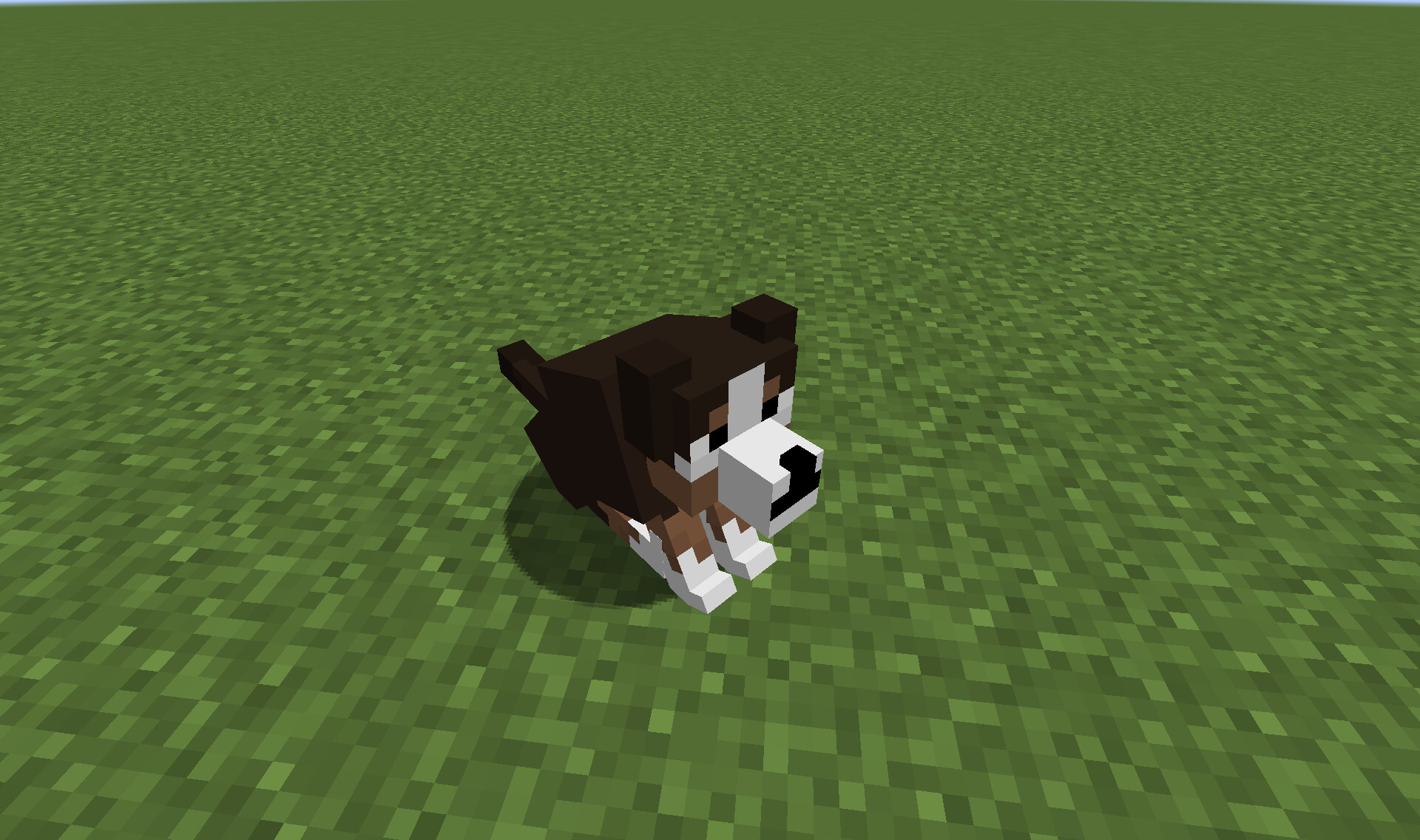 CrunchyFox Bernese Mountain Dog Minecraft Texture Pack