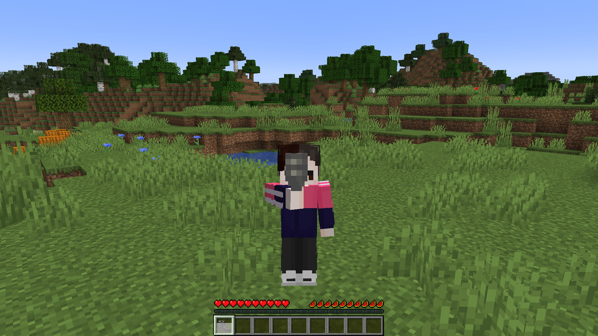 3D Goat Horn Minecraft Texture Pack