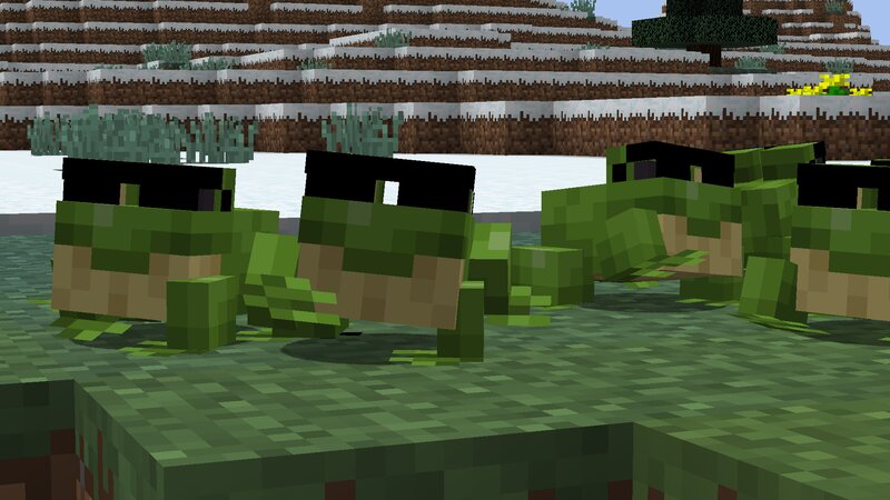 Frog With Glasses. Frog With Glasses.