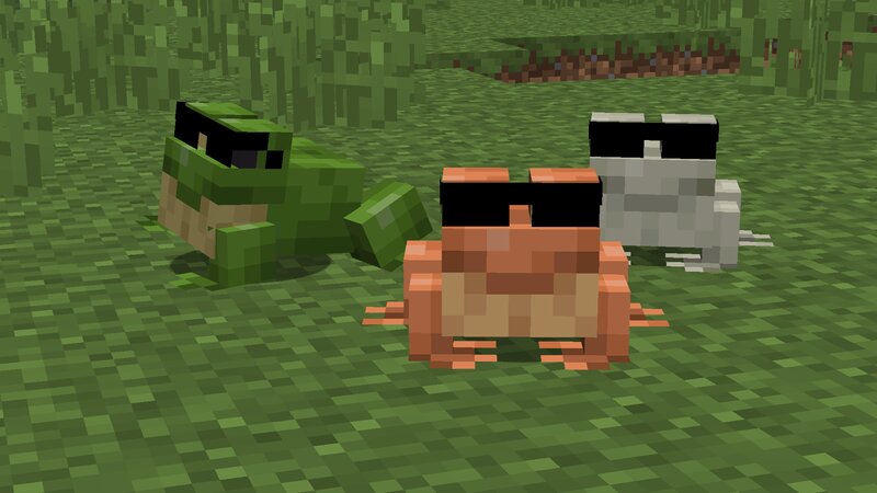 Frog With Glasses. Frog With Glasses.