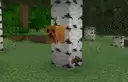 Head and Spawn egg