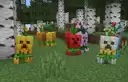 Floral Creepers in a Birch Forest