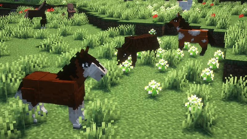 New model and extra colors