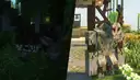 Ravager and Iron golem