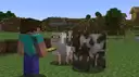 Fluffy friends. Fresh Animations shown