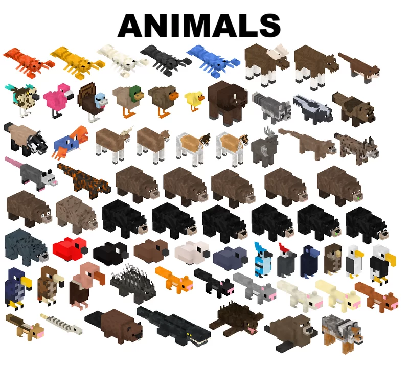 Animals