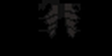 Toothless elytra Minecraft Texture Pack