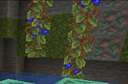 blueberries! Minecraft Texture Pack