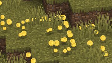 Experience Coins Minecraft Texture Pack