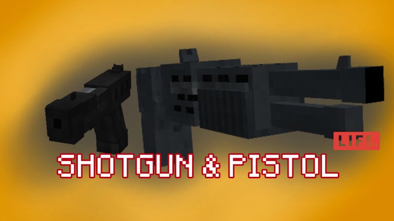 Shotgun & Pistol