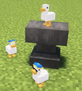 Ducks With Hats Plushies [CIT] Minecraft Texture Pack