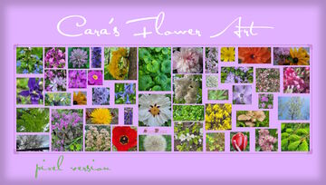 🌸 Cara's Flower Art [Minecraft Paintings Pack] (pixel) Minecraft Texture Pack