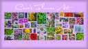 🌸 Cara's Flower Art [Minecraft Paintings Pack] (oil) Minecraft Texture Pack