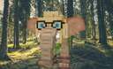 blomblomblomblomkål (request) Minecraft Texture Pack