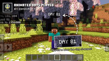 Animated Days Played Minecraft Texture Pack