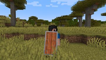 Woodtype Shields [Texture Pack] Minecraft Texture Pack