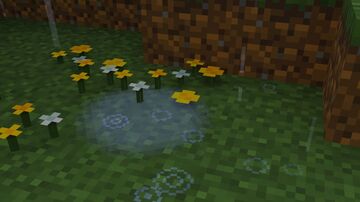 Fused's Better Rain, Splashes & Puddles! Minecraft Texture Pack