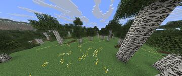 Stalking Birch Trees Minecraft Texture Pack