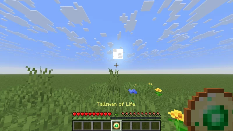First person model, with custom totem name