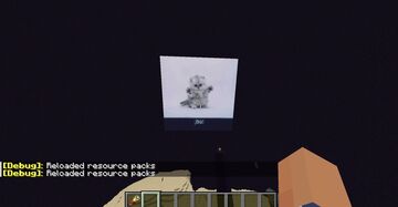 !Bu! Cat for end flash Minecraft Texture Pack