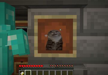 The Undying Cat Minecraft Texture Pack