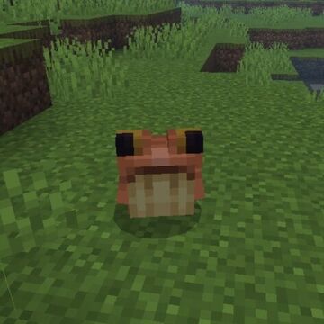 New frogs Minecraft Texture Pack