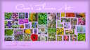 🌸 Cara's Flower Art [Minecraft Paintings Pack] (normal) Minecraft Texture Pack