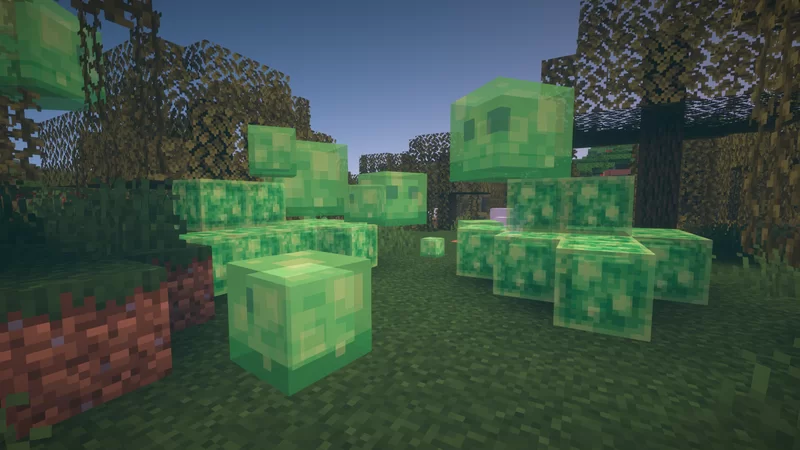 Slimes and Slime Blocks