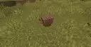 A Brown Armadillo