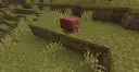 A Red Armadillo