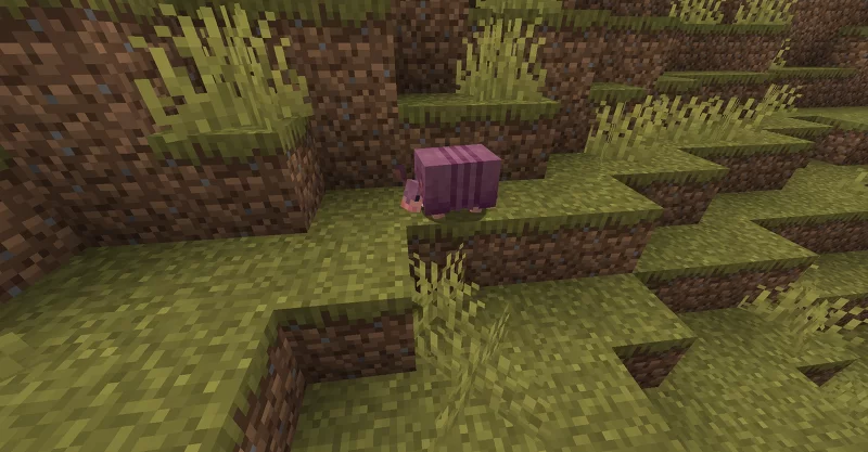 A Purple Armadillo