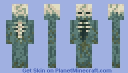 Girl Drowned (Human Era: Villagers & Illagers) Minecraft Skin