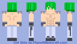 Emerald Monty Minecraft Skin