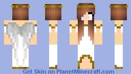 Angle Minecraft Skin