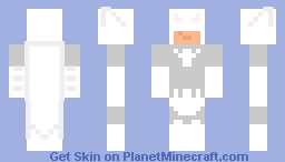 Batman (Arctic Batsuit) (Bruce Wayne) Minecraft Skin