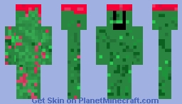 CASTUS MAN Minecraft Skin