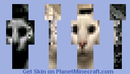 Canny & Uncanny Cat Minecraft Skin