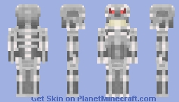 Terminator Minecraft Skin