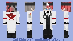 a Minecraft Skin