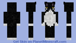 black cat Minecraft Skin