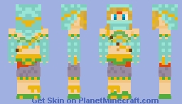 Vai Link Minecraft Skin