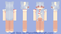 Party in the USA Minecraft Skin
