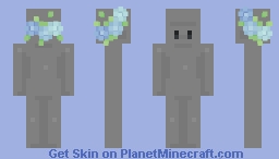 ❁. Flower Crown .❁ Minecraft Skin