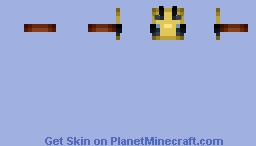 Bee Mask Minecraft Skin