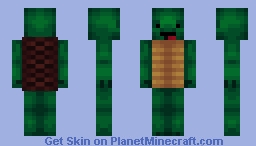 Derpy Turtle Minecraft Skin