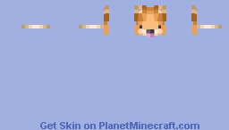 Puppy Mask Minecraft Skin
