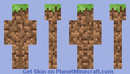 dirt camo Minecraft Skin