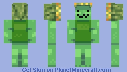 Elder Bean Minecraft Skin