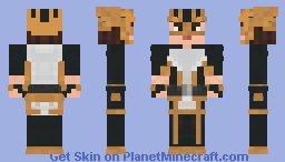 HawkGirl Minecraft Skin