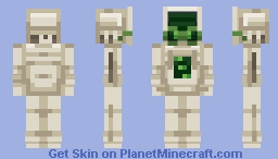 IM IN A SCREEN Minecraft Skin